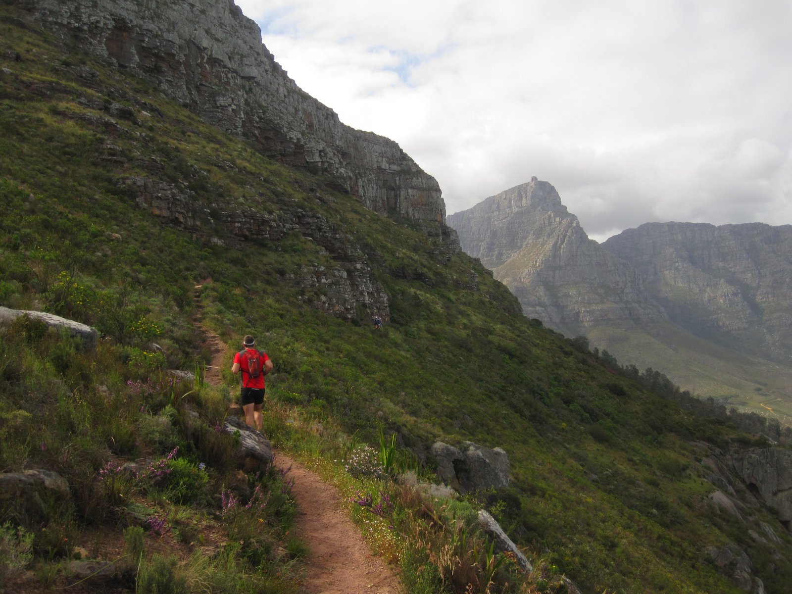 Lion's Head to Signal Hill Trail Run