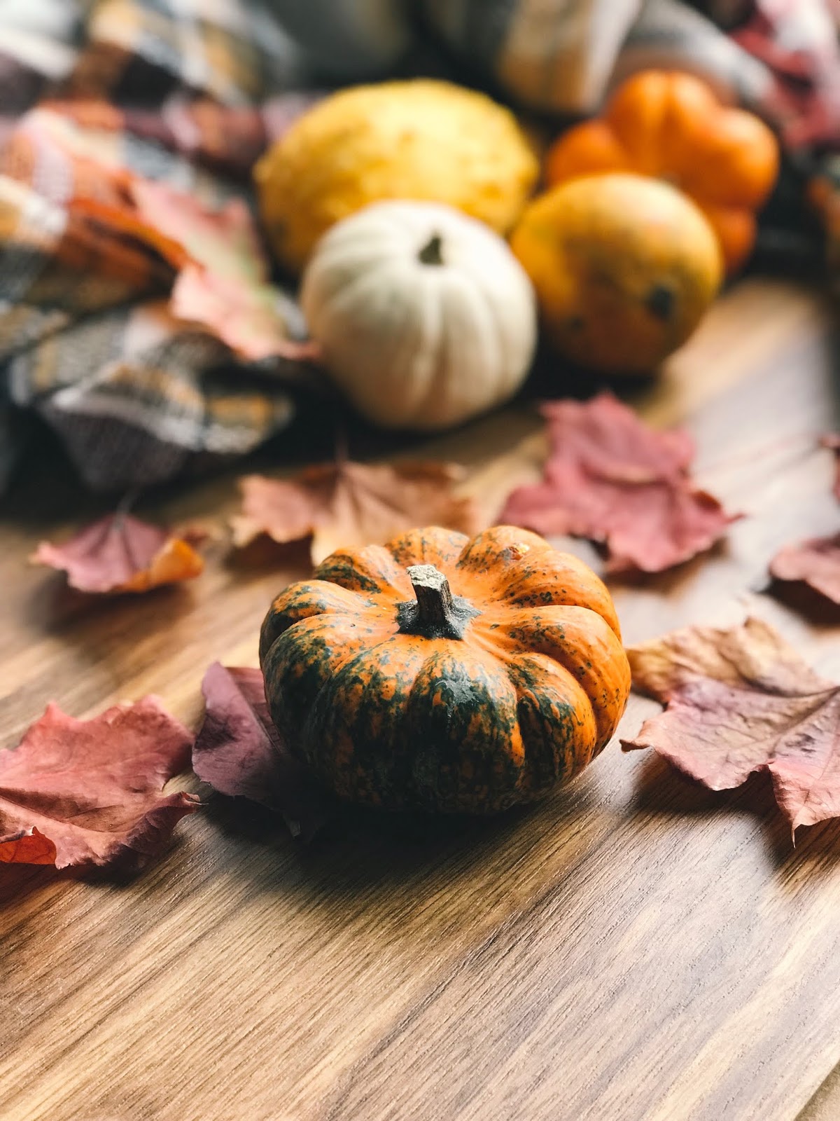 Fall 2018 Pumpkins