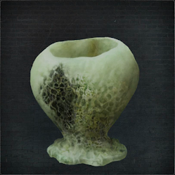 Great Isz Chalice