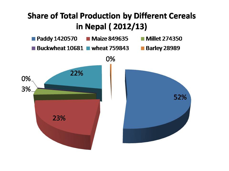 Area and Production Share of Cereals in Nepal Aggregation of An