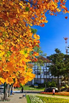 bem vindo ao meu novo blog