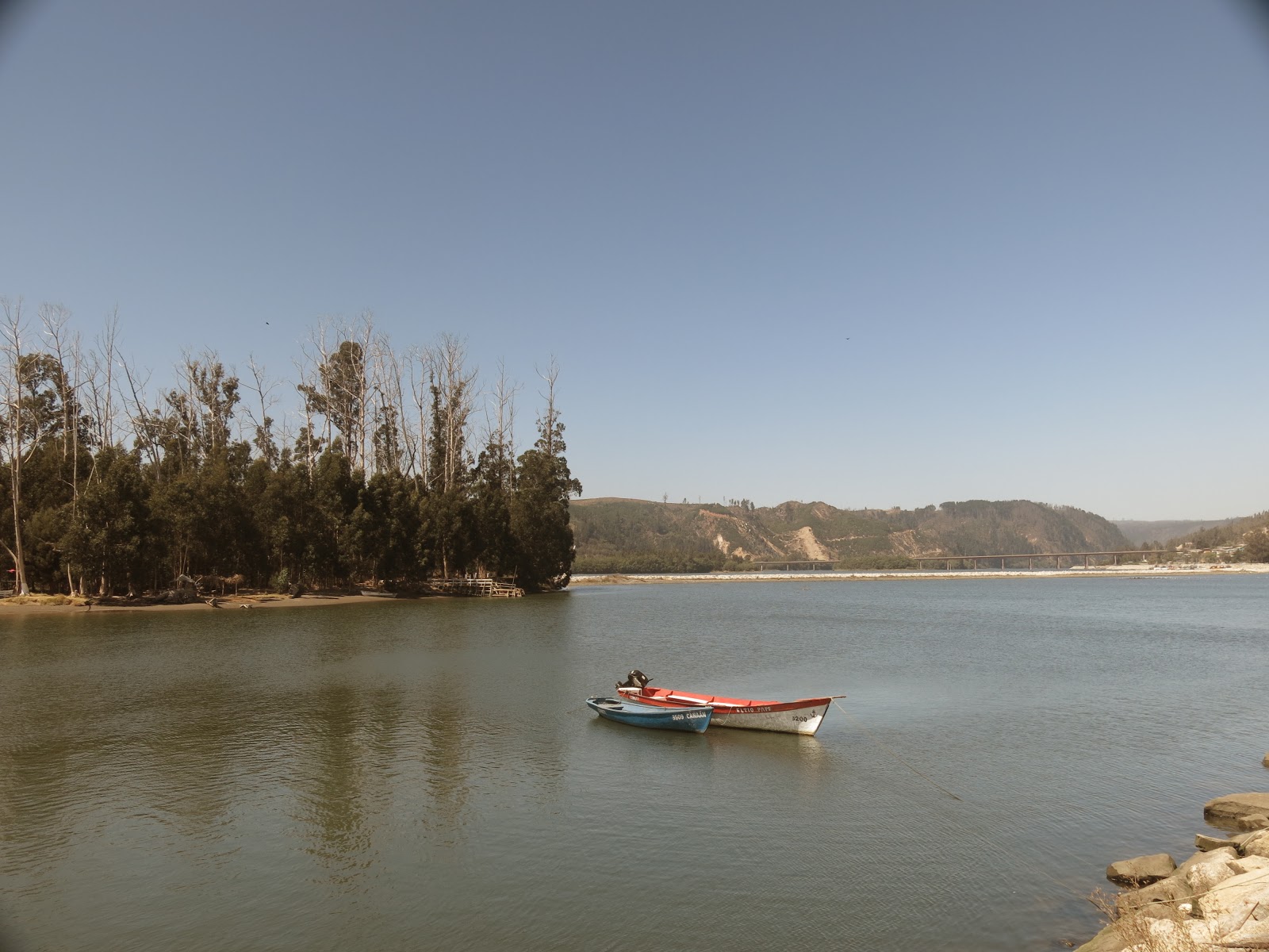el tiempo en constitucion