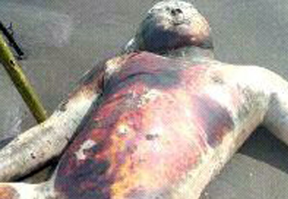 mayat yang ditemukan di pantai batuhiu