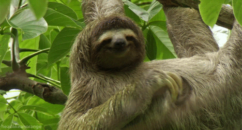 nature_Q.gif