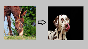 ANJING DAN KELEDAI YANG IRI HATI #anjing #keledai