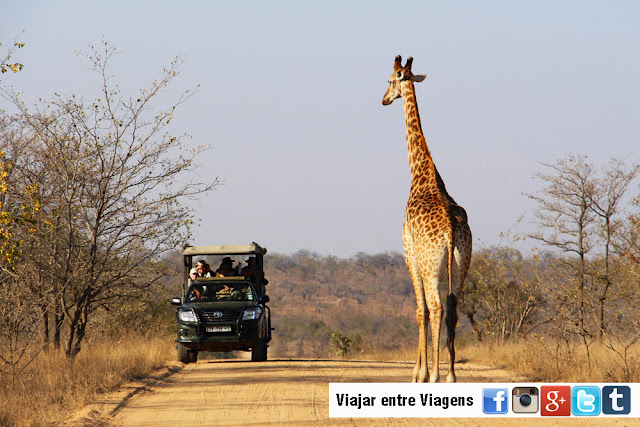 Parque Nacional de Kruger (África do Sul)
