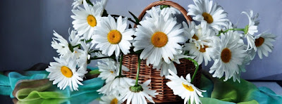 كفرات فيس بوك جديدة اجمل خلفيات وأغلفة للفيس بوك روعة