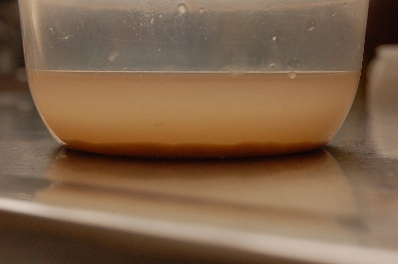 KoBo Ginger beer bread