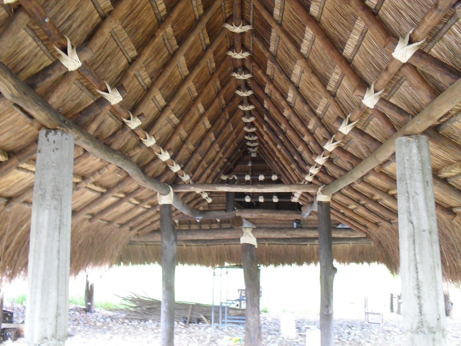 RANCHOS SAN GERONIMO PALMASORIANA RANCHOS SAN GERONIMO PALMASORIANA