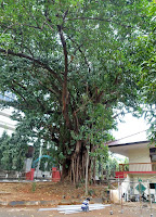 museum satriamandala
