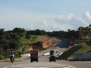 Parte da Mata Atlântica da área foi desmatada para construção da via (Foto: Felipe Gibson/G1)