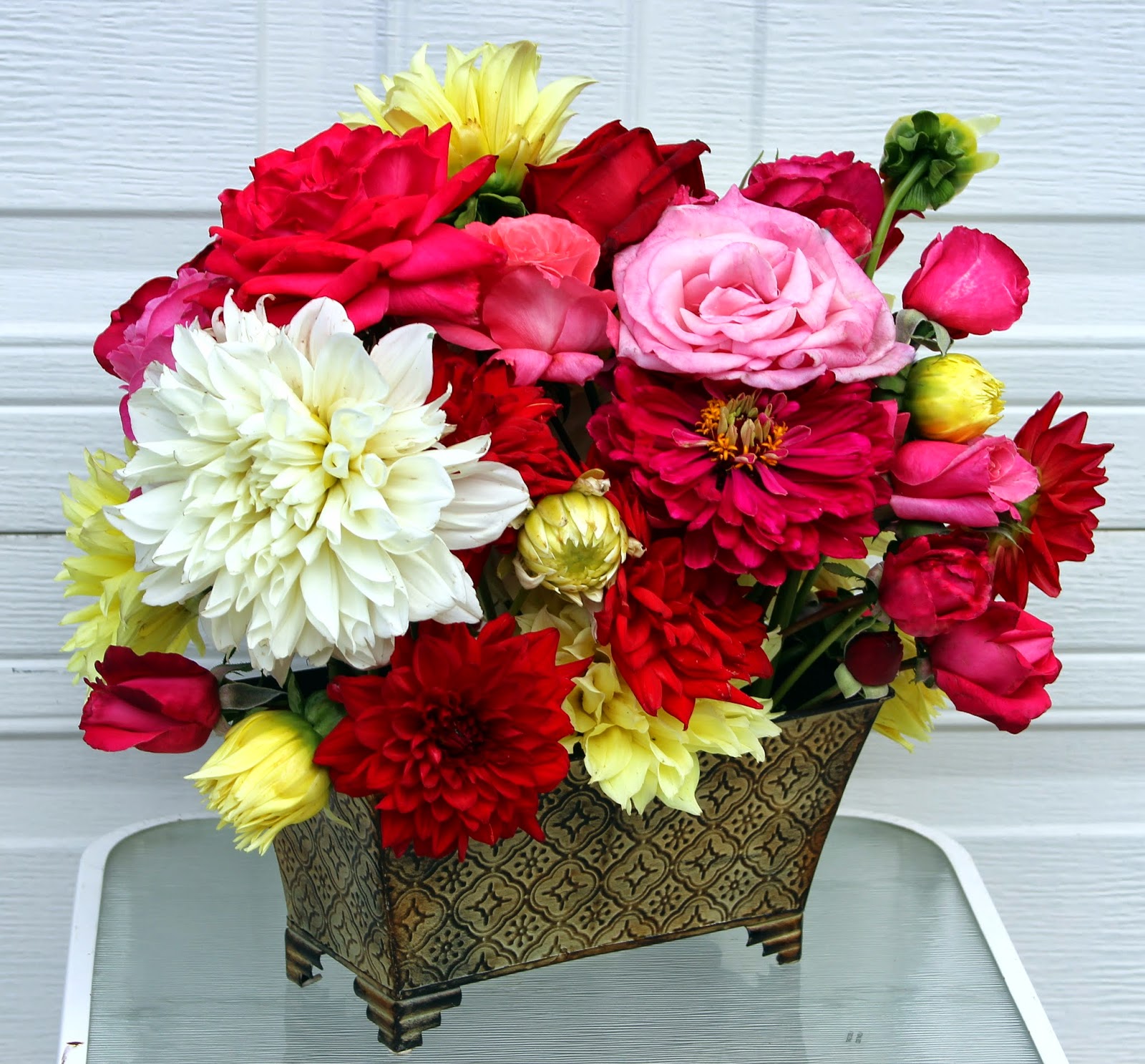 ROSES Fall hybrid tea roses in