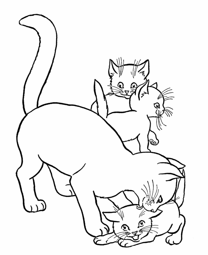 10 Mewarnai Gambar Kucing 10 Mewarnai Gambar Kucing