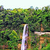 Top 4 Best Waterfalls in Bohol