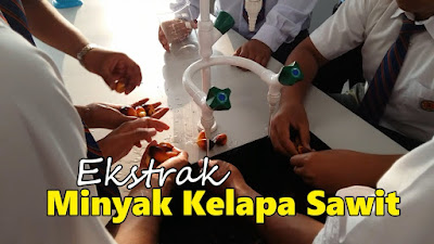 Aktiviti ekstrak Minyak Kelapa Sawit dalam makmal