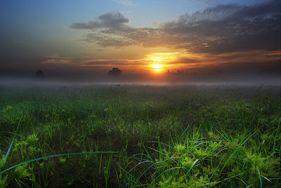 morning-photos+(19).jpg