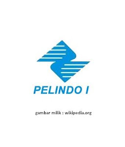 Profil BUMN PT Pelindo I Profil BUMN PT Pelindo I