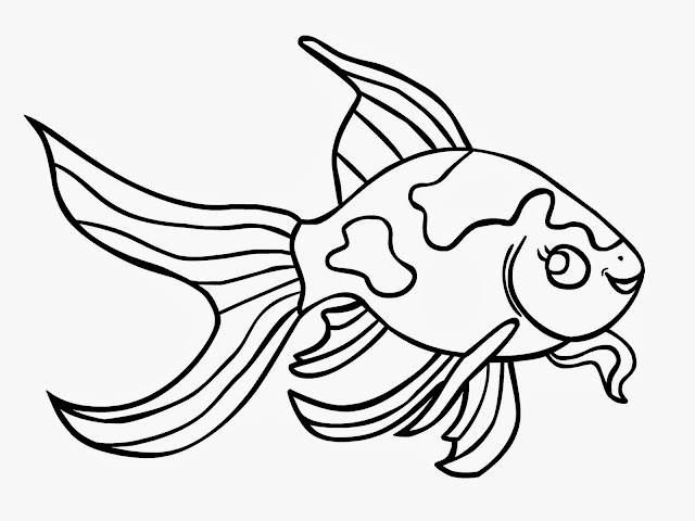 Fish Cartoone Colour Drawing HD Wallpaper