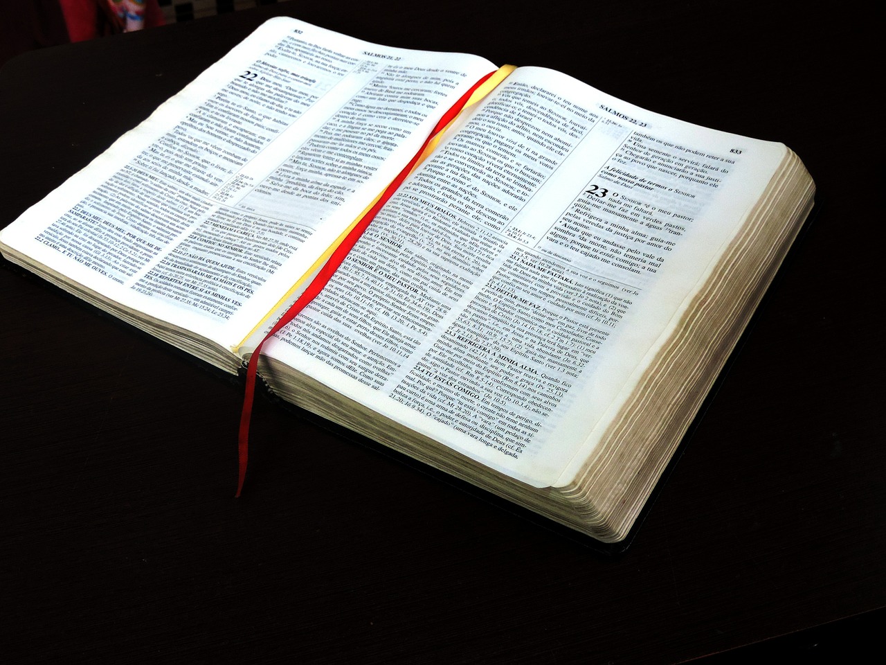 30 Perguntas Fáceis da Bíblia em 2023  Perguntas biblicas, Perguntas e  respostas bíblicas, Perguntas bíblicas fáceis