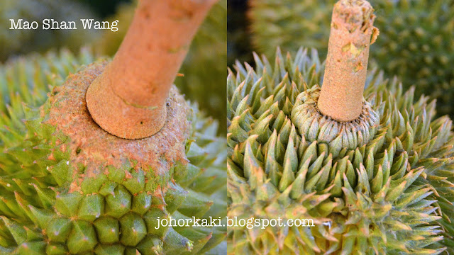 How to Never be Sold a Fake Mao Shan Wang Musang King MSW 猫山王 Durian Again Mao-Shan-Wang-Musang-King-MSW-猫山王-Durian