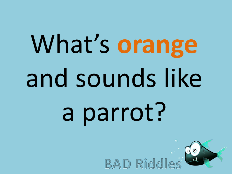 What's Orange and sounds like a Parrot? Bad Riddles