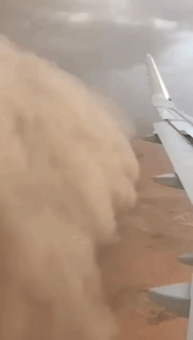 giphy.gif