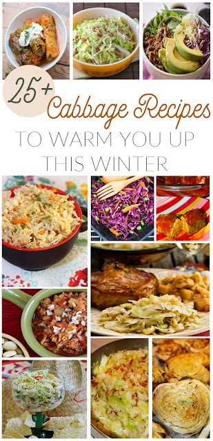 25+ Cabbage Recipes to Warm You Up This Winter