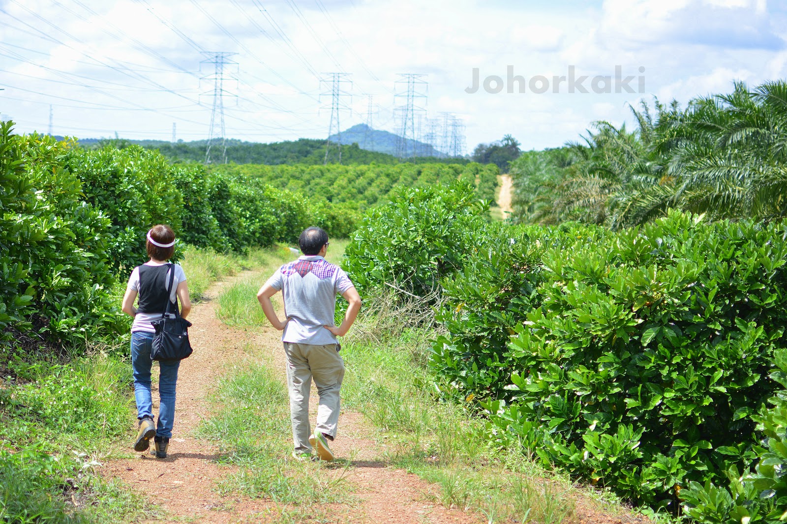 Kopi Luwak Civet Cat Coffee at My Liberica in Taman Molek, Johor Bahru