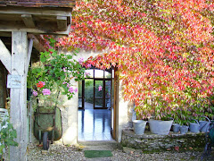 MON JARDIN DE SAISON : AUTOMNE