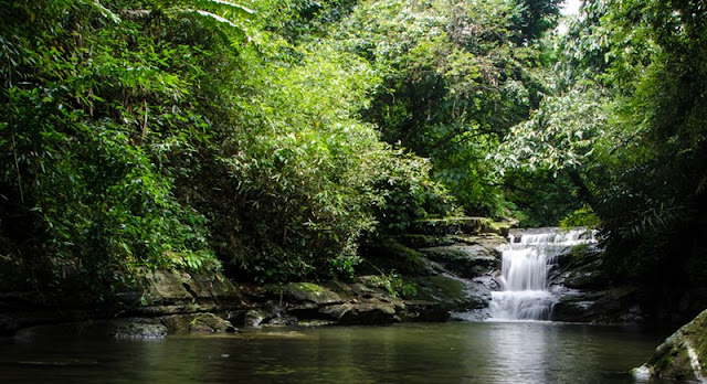 Mawlynnong, Meghalaya Mawlynnong, Meghalaya