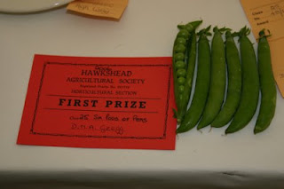 hawkshead show prize