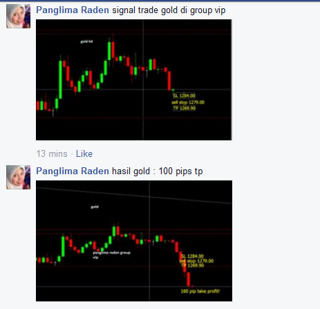 Signal forex yang terbaik
