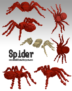 spider-avatar.png