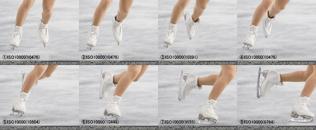 SONY ILCE-9 FE 100-400mm F4.5-5.6 GM OSS ISO:10000(Auto) CMP:+1.0 F:5.6 Tv:1/1250s(ES)