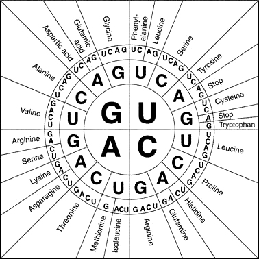 Interdisciplinary Collaboration Wheel, collaboration with the Royal Society