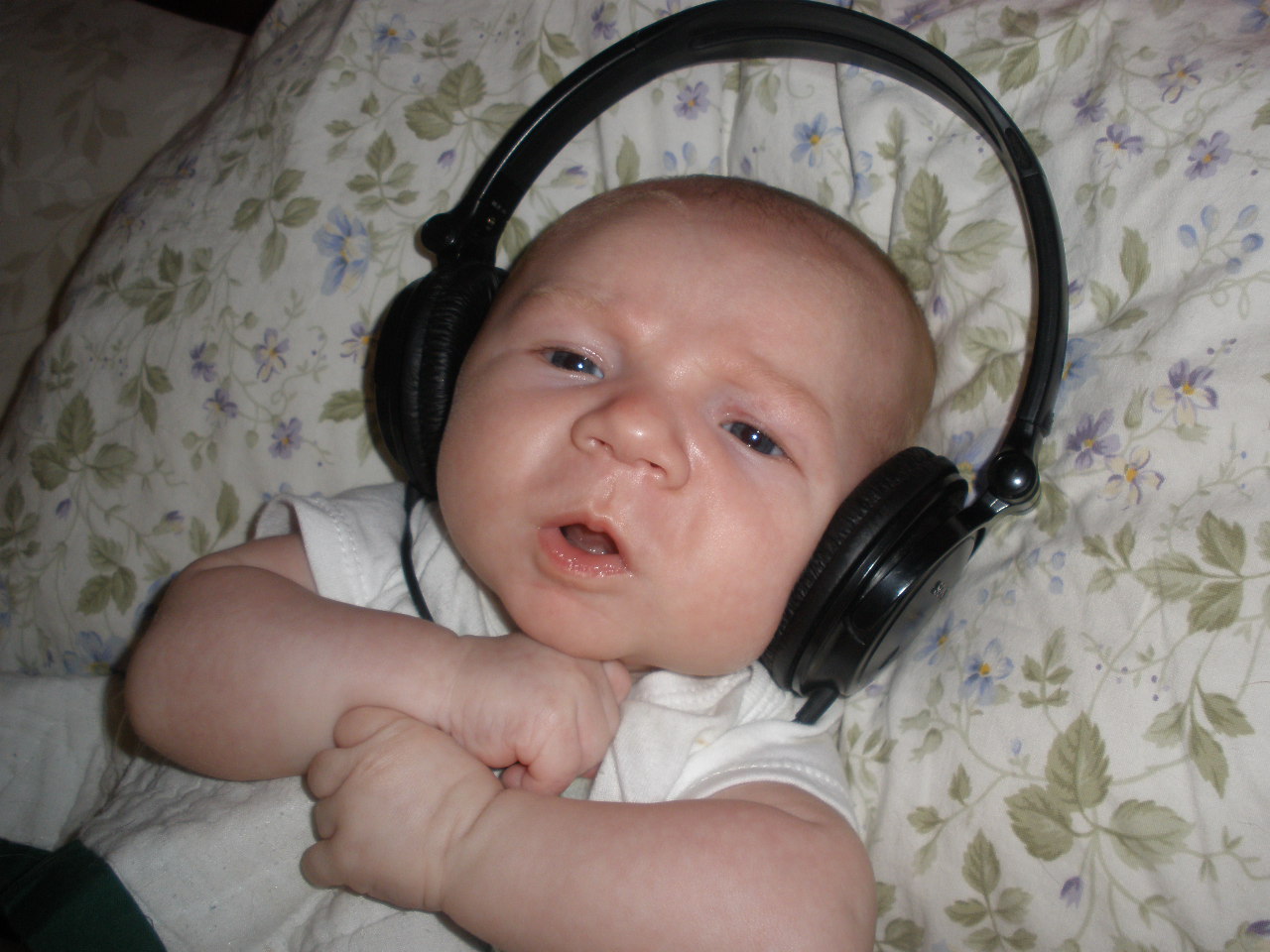 Jude's Almost Daily Blog Zen Baby, Zen!