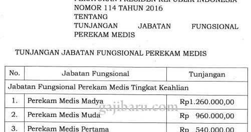 Standar gaji d3 rekam medis