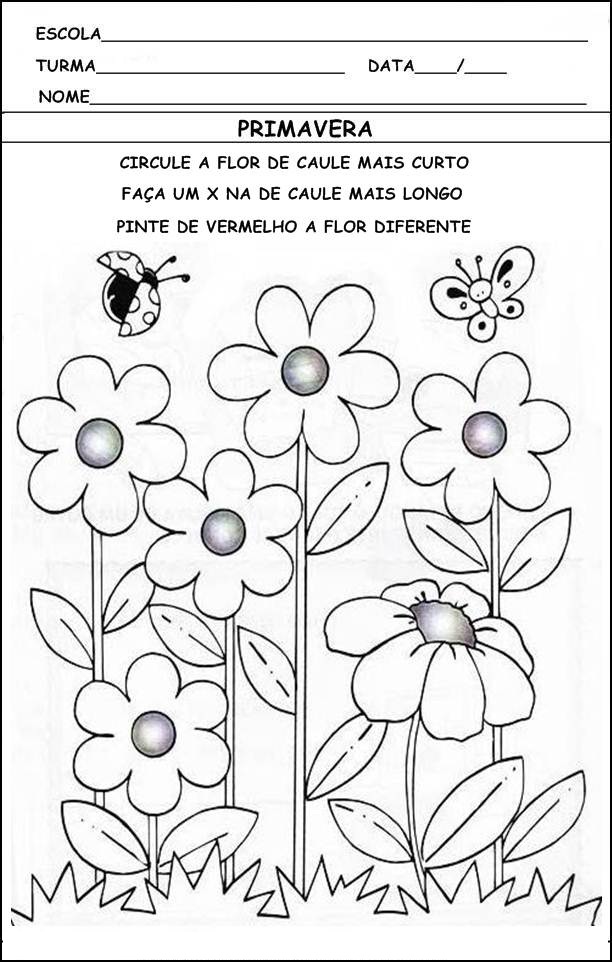 clube da cor atividades escolares atividades para colorir prontas