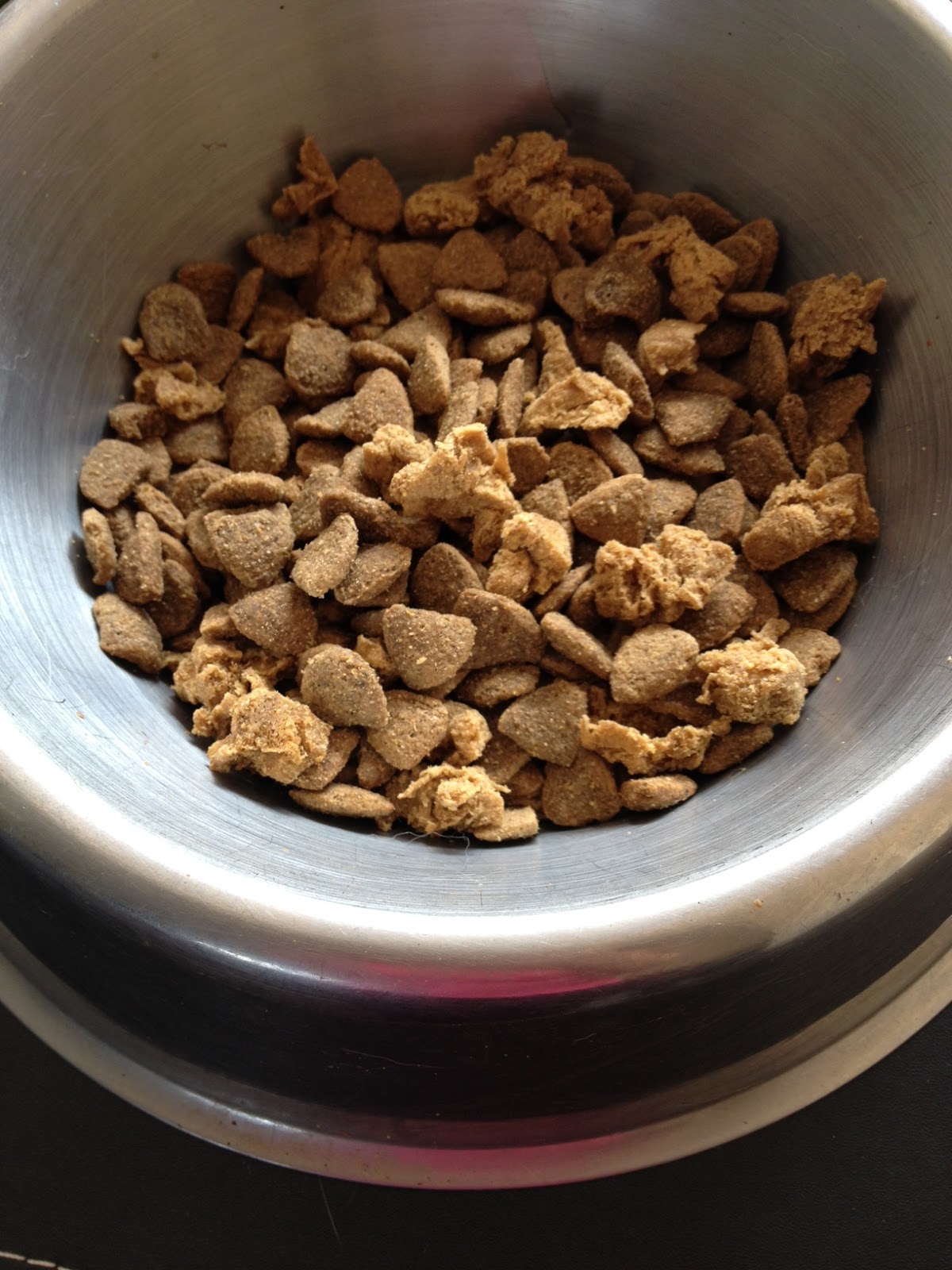 Team Stokey Purina's Pro Plan Duo Delice Review