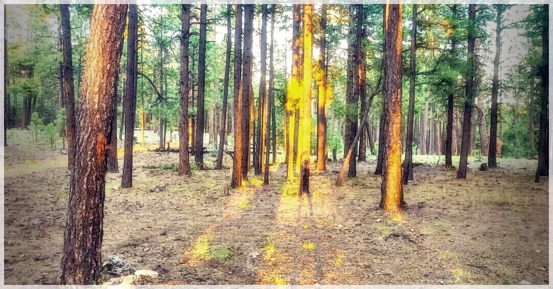 HikingTrails-39733449678