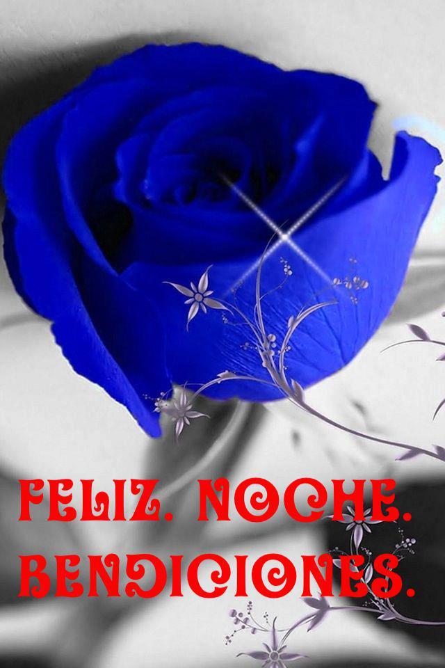 Divertidas imágenes y frases para decir buenas noches Imágenes con Frases de Flores para dar las Buenas Noches - ※ Dias de la