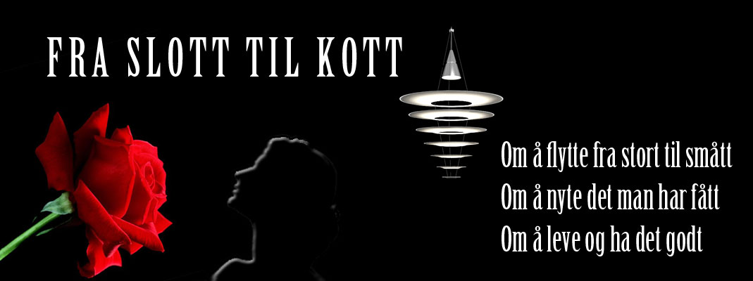 Fra slott til kott