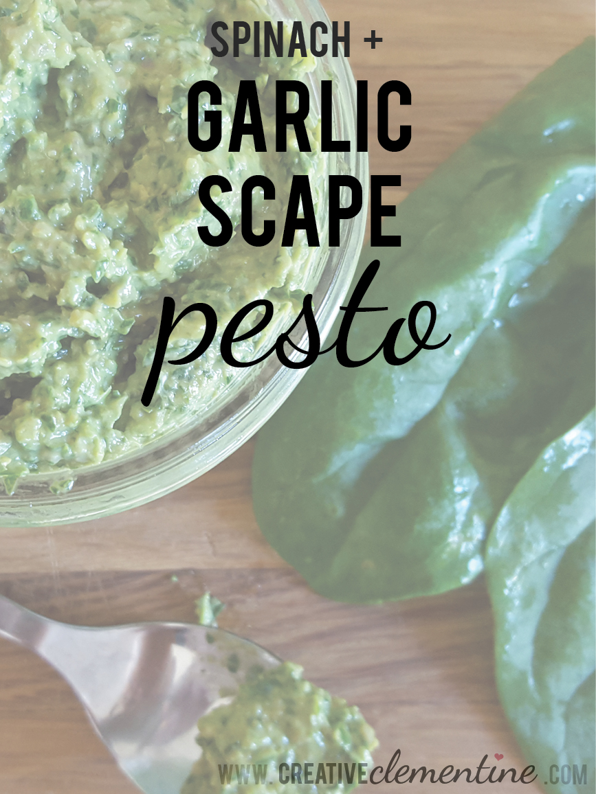 Spinach and Garlic Scape Pesto: aka, your new favourite go-to summertime sauce, marinade, and dressing.
