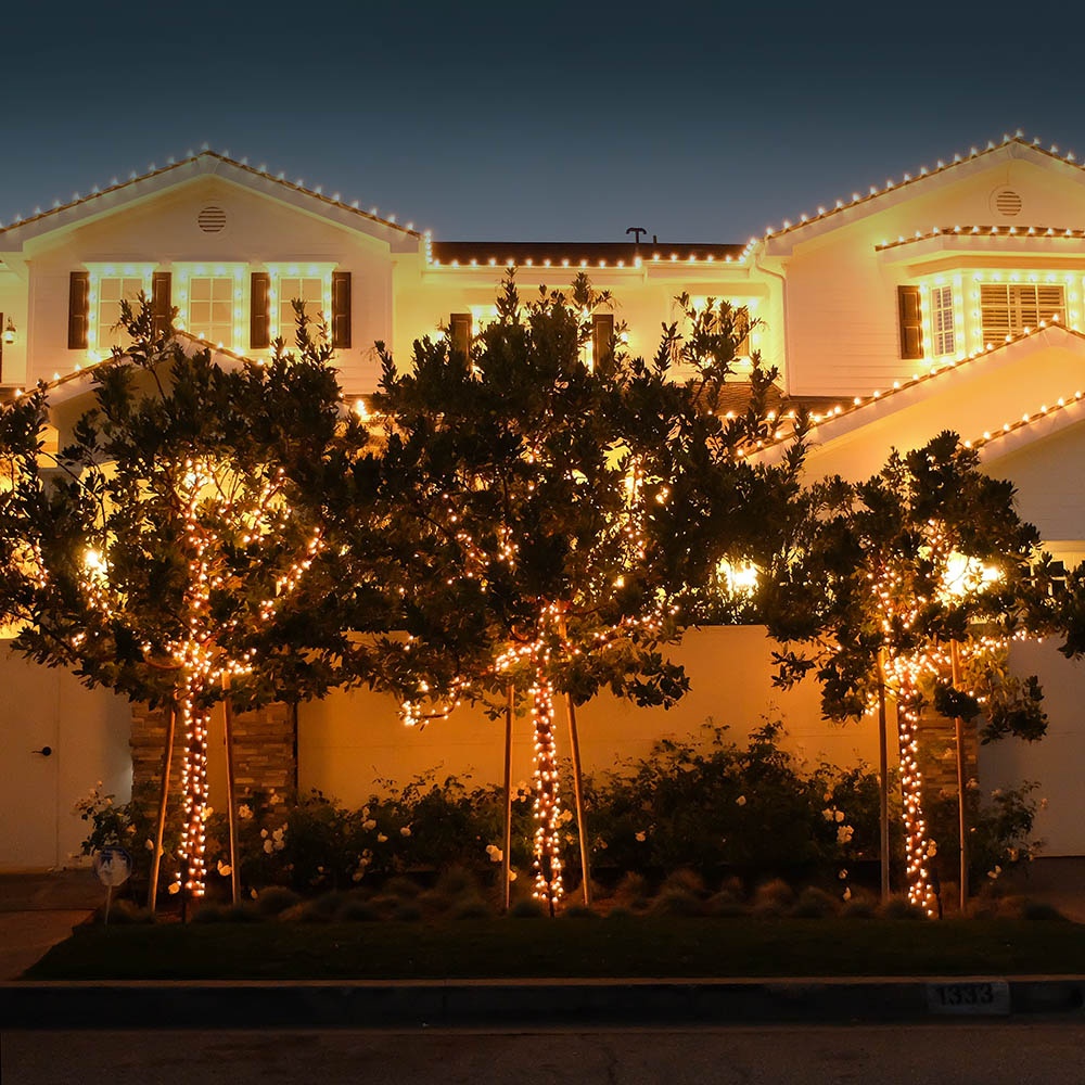 some old pictures I took Merry Christmas