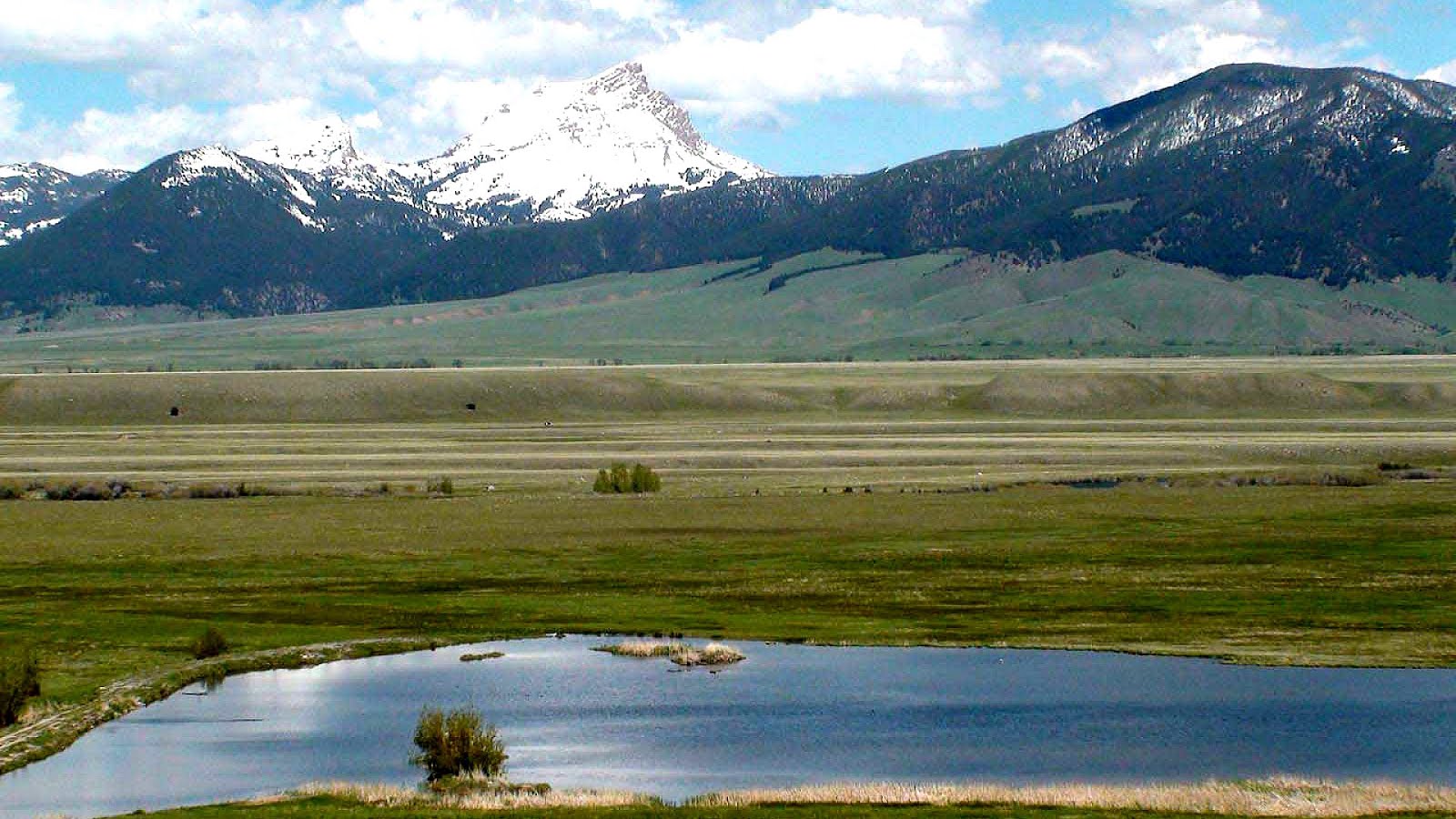 Ennis Montana Fishing Fish Choices
