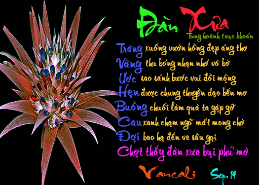 https://4.bp.blogspot.com/-JUjlyyuB6-E/WNKbSl1x-pI/AAAAAAAAvkI/vDMjo-6bY2ktToEs4vX49qBb6BtKK8O1QCLcB/s640/2095.jpg