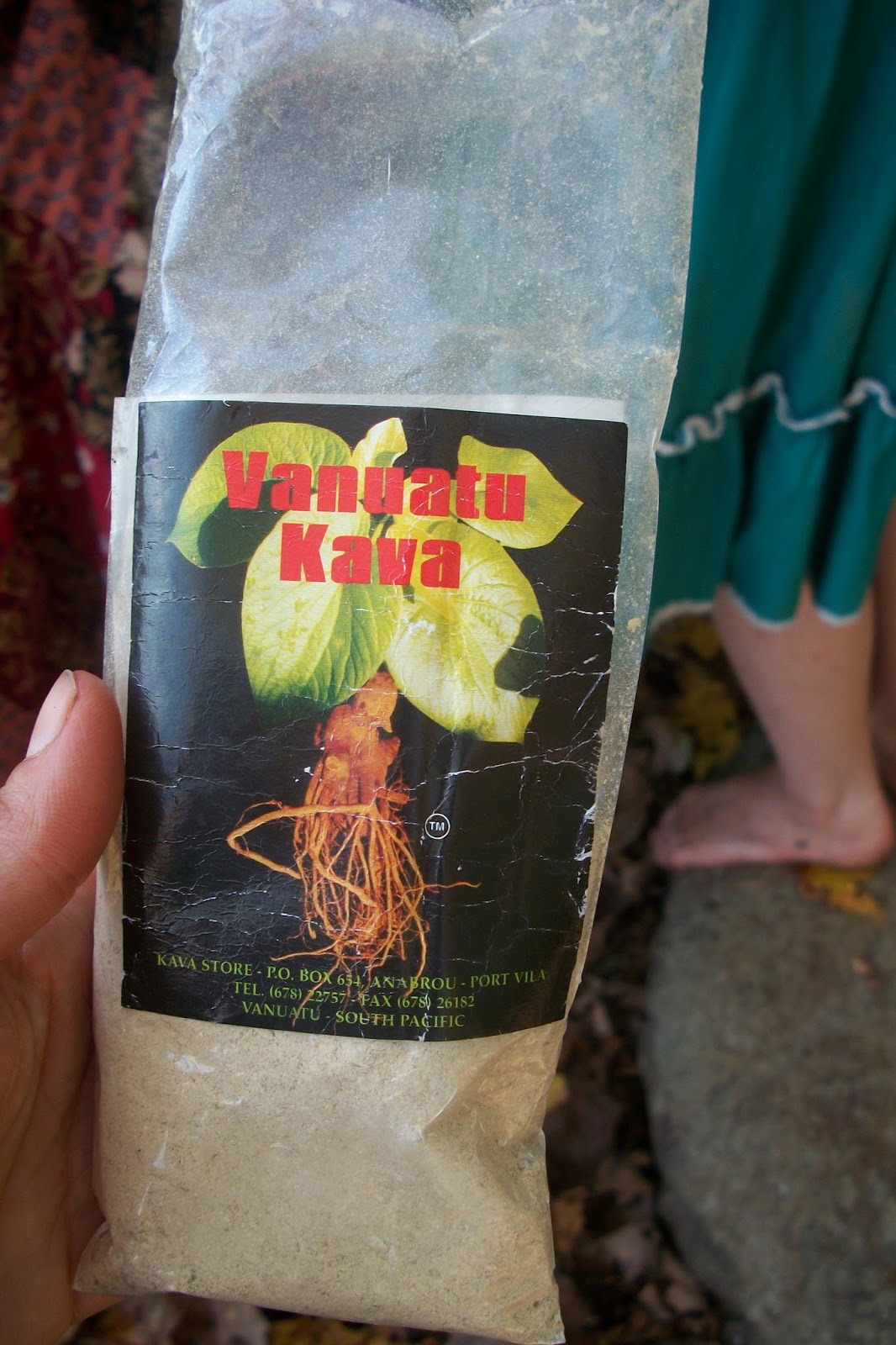 Thymes Ancient Remedies Herbal Sedatives Part 2 KavaKava & Valerian