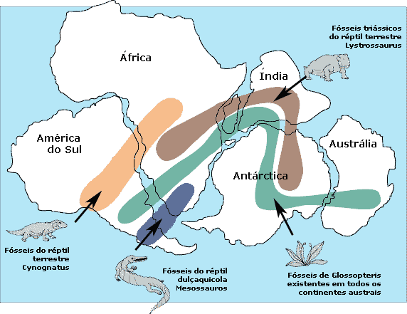 biosite10c: Teoria da Deriva Continental