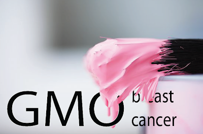GMO-Breast Cancer About