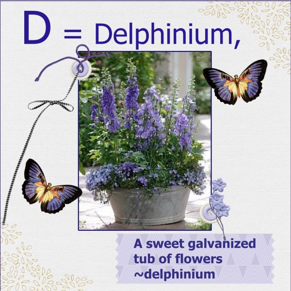 April 2016 - D = Delphinium,